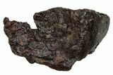 Polished Stony-Iron Mesosiderite Meteorite ( g) - Chile #242894-1